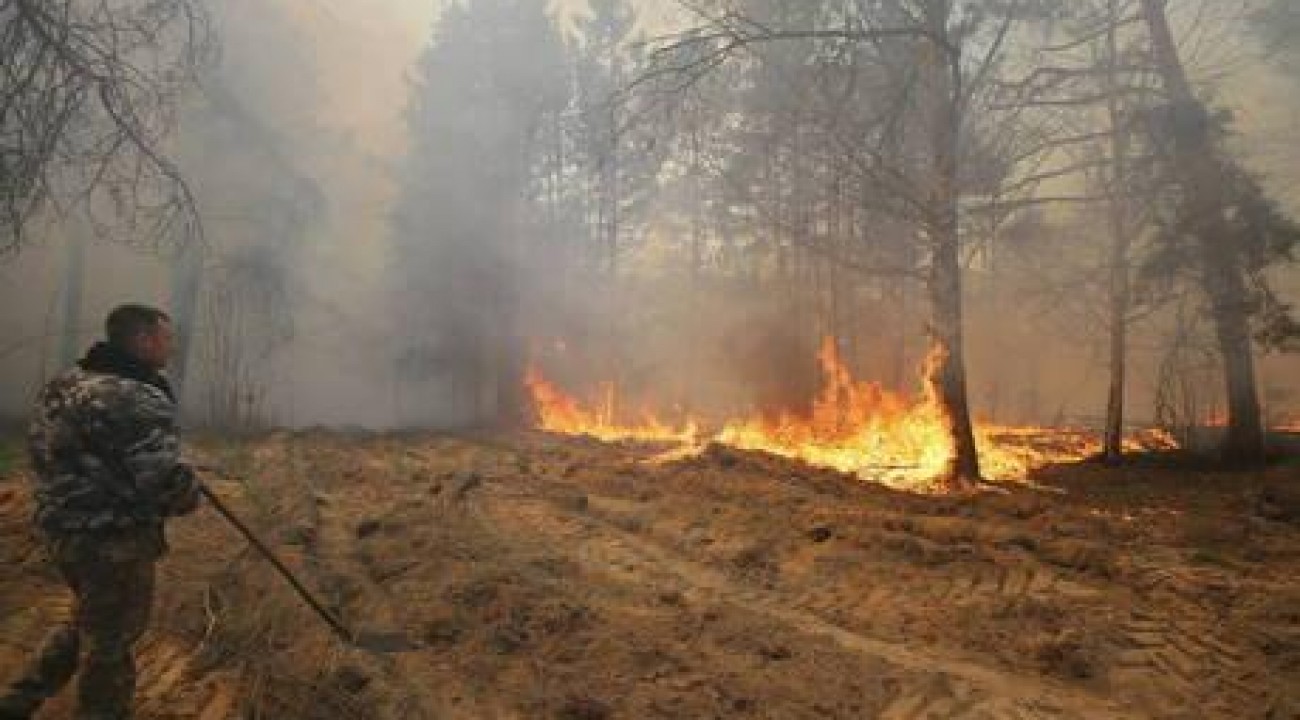 Incêndio em Chernobyl não aumentou radiação, diz AIEA.